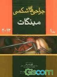 جراحی‌های شکمی مینگات 2013 (جلد 1)