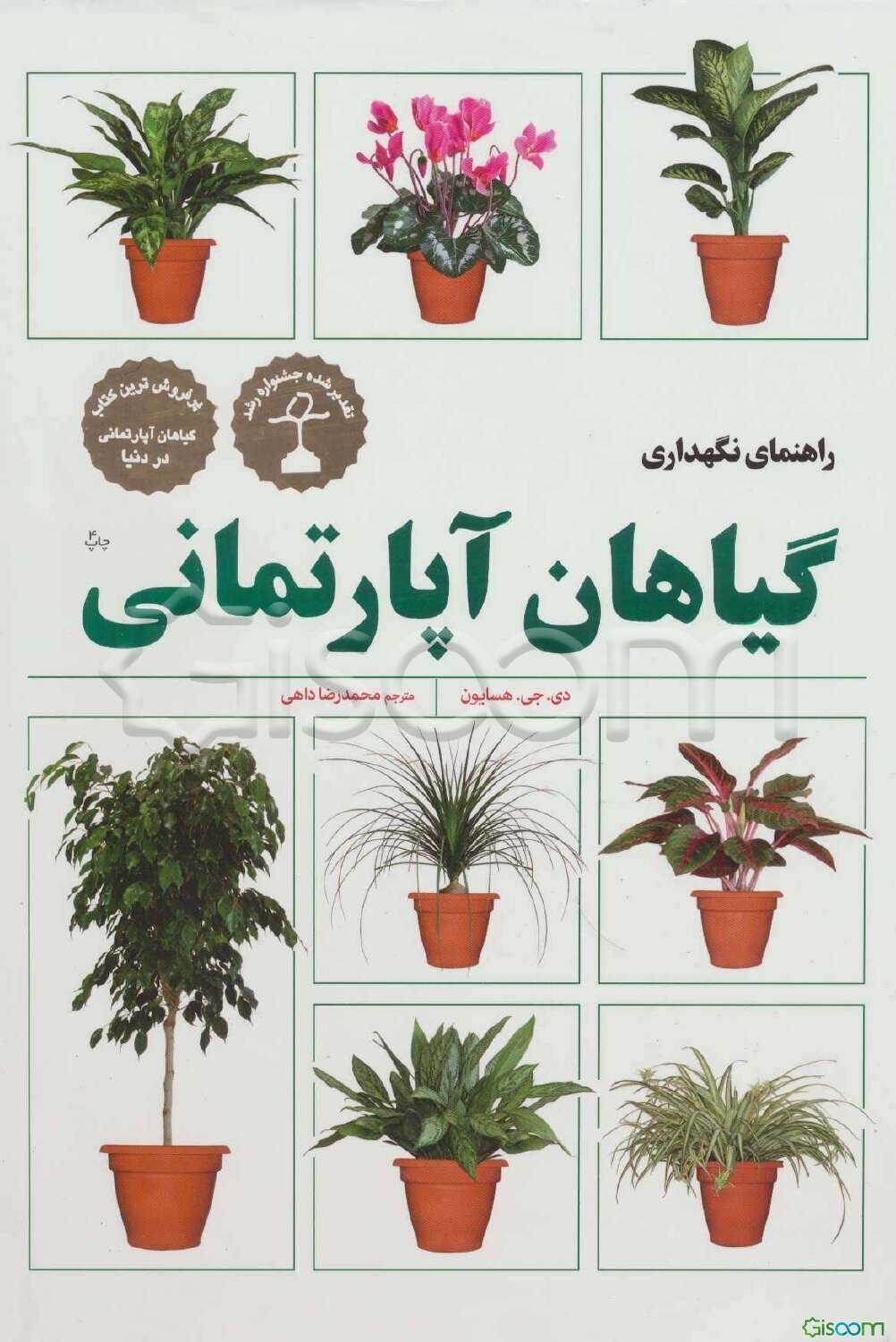 راهنمای نگهداری گیاهان آپارتمانی