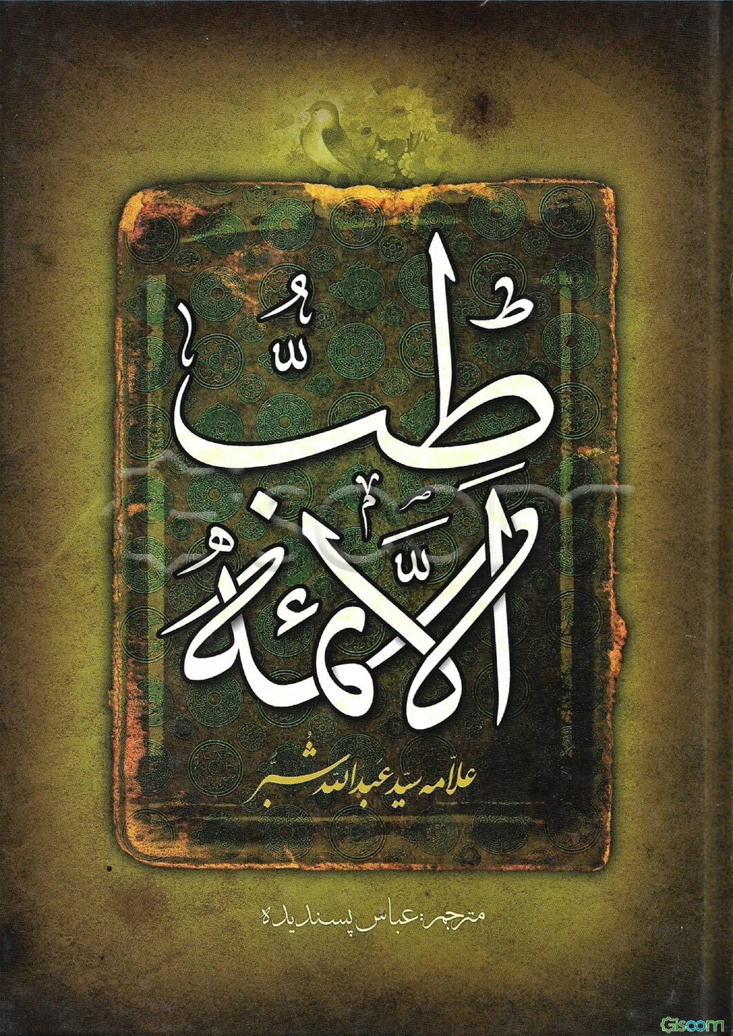 طب‌ الائمه (ع)