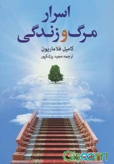 اسرار مرگ و زندگی: زیستن یا نابود شدن