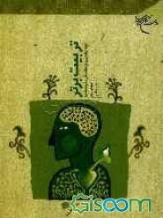 تربیت برتر: آنچه والدین و معلمان باید بدانند