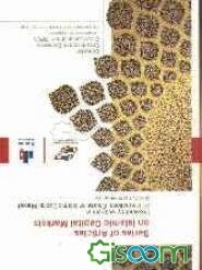 Series of articles on Islamic capital markets: provided by lecturers at 5th international course on Islamic capital markets...