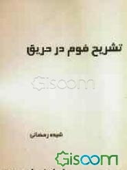 تشریح فوم در حریق