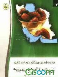 برنامه راهبردی بخش خرما در کشور: زیربرنامه فرآوری و بسته‌بندی