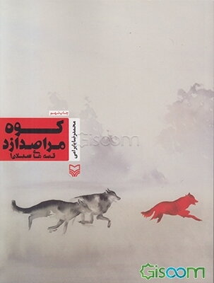 کوه مرا صدا زد