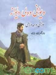 دیوانی وه‌لی دیوانه