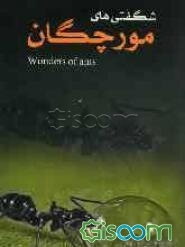 شگفتی‌های مورچگان