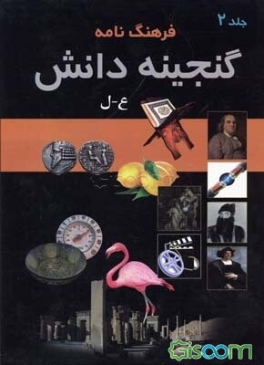 فرهنگ‌نامه گنجینه دانش (جلد 2)
