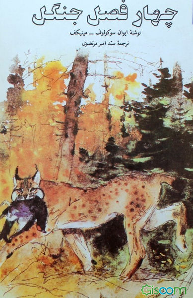 چهار فصل جنگل