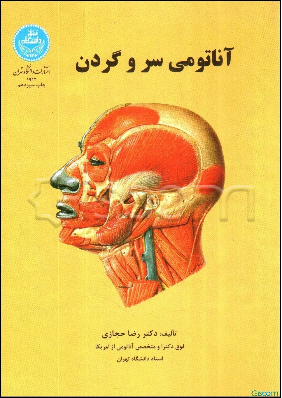 آناتومی سر و گردن