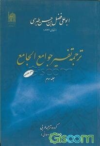 ترجمه تفسیر جوامع الجامع (جلد 3)
