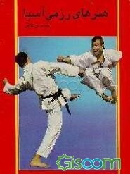 هنرهای رزمی آسیا