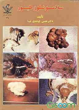 سالمونلوز طیور