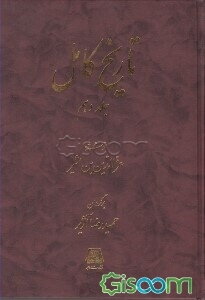 تاریخ کامل (جلد 10)