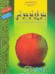 بلوغ و نوجوانی: راهنمای معلم ویژه دوره راهنمایی تحصیلی