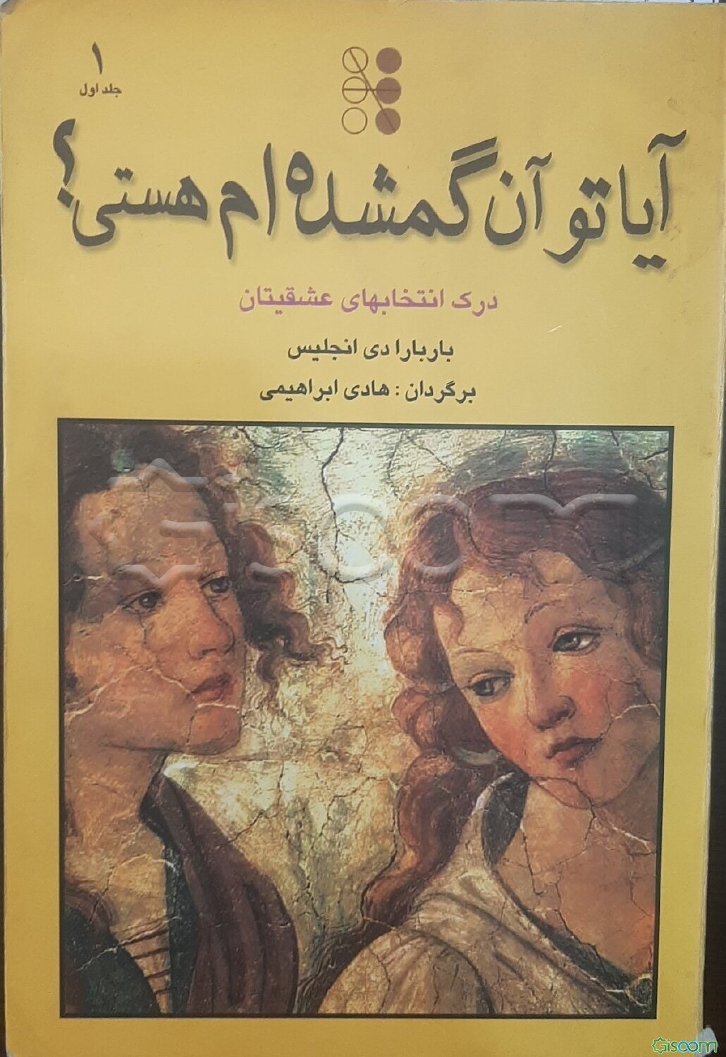 آیا تو آن گمشده‌ام هستی؟ شناسایی فرد مناسب (جلد 3)