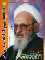 نجم‌الدین: نیم‌نگاهی به زندگی‌نامه حضرت آیت‌الله حسن حسن‌زاده آملی