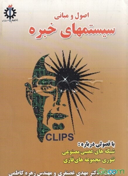اصول و مبانی سیستم‌های خبره با فصولی درباره: شبکه‌های عصبی مصنوعی، تئوری مجموعه‌های فازی
