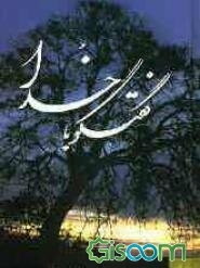 گفتگو با خدا