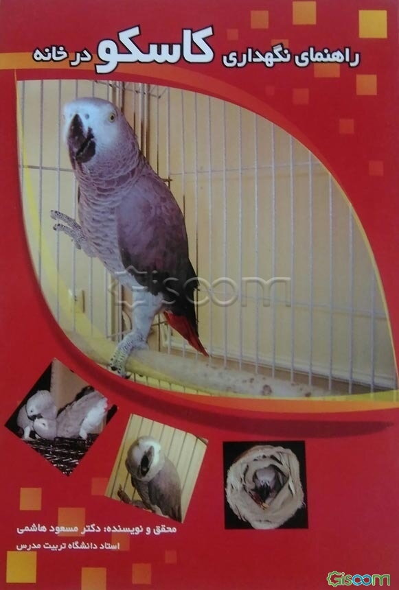 راهنمای نگهداری کاسکو در خانه