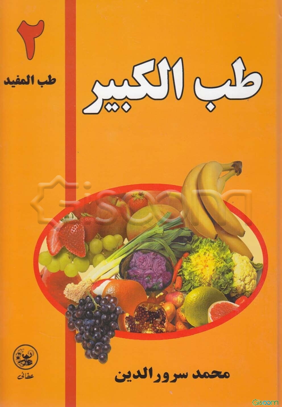 طب الکبیر (طب المفید) (جلد 2)