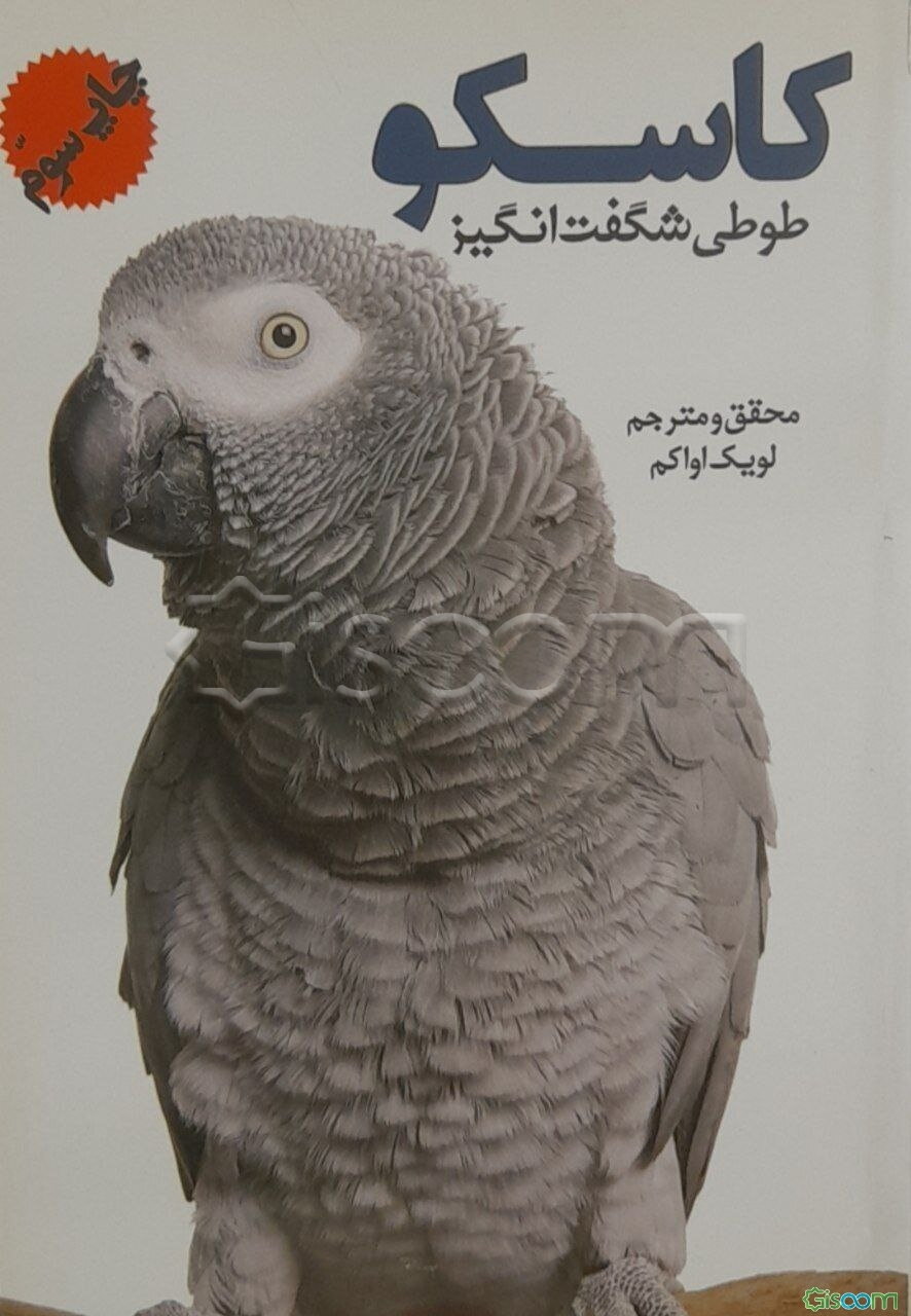 کاسکو طوطی شگفت‌انگیز