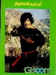 آموزش حرکات نانچاکو