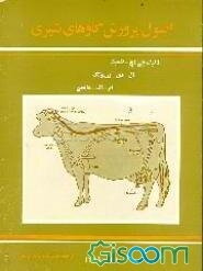 اصول پرورش گاوهای شیری