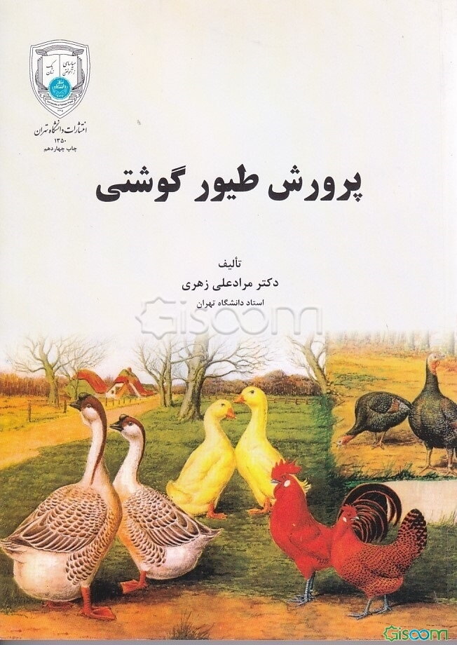 پرورش طیور گوشتی