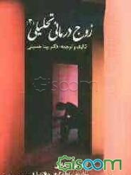 زوج‌درمانی تحلیلی: ایماگودرمانی (درمان تصویرسازی - ارتباطی)، نظریه سلطه‌گری و کنترل (جلد 2)