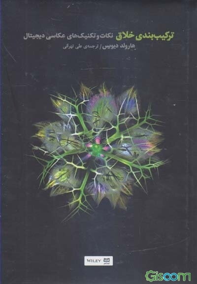 ترکیب‌بندی خلاق: نکات و تکنیک‌های عکاسی دیجیتال