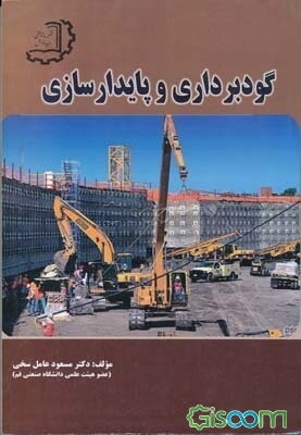 گودبرداری و پایداری