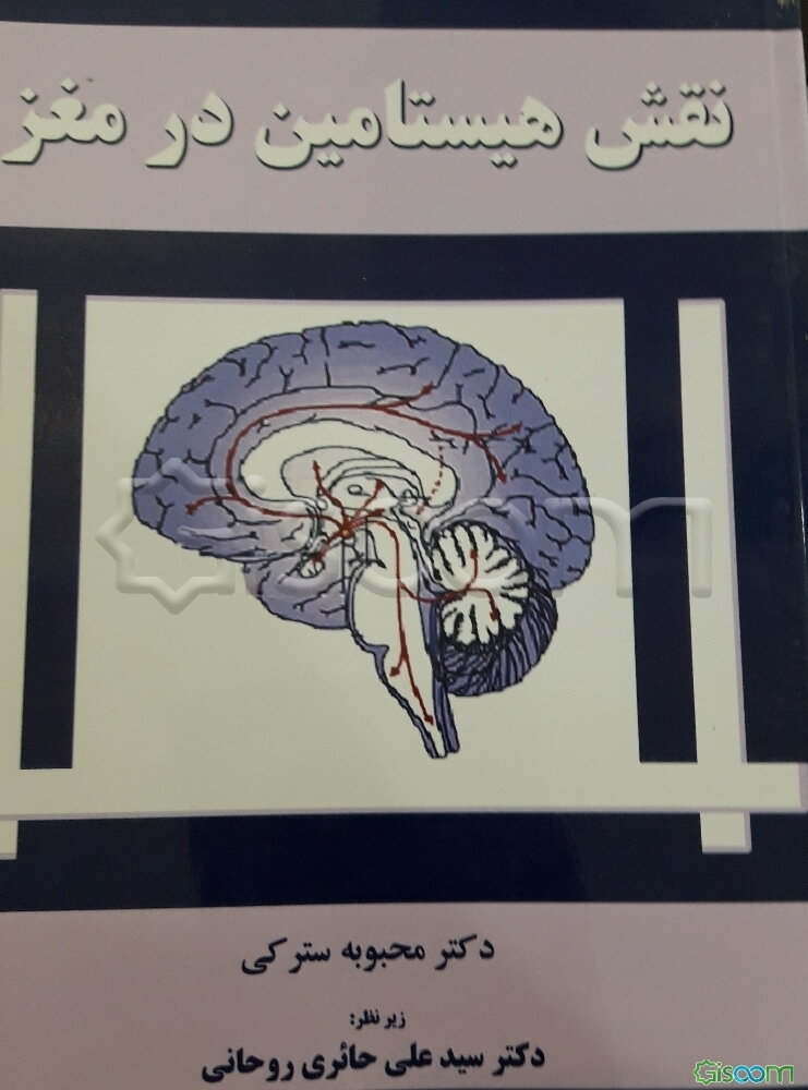 نقش هیستامین در مغز