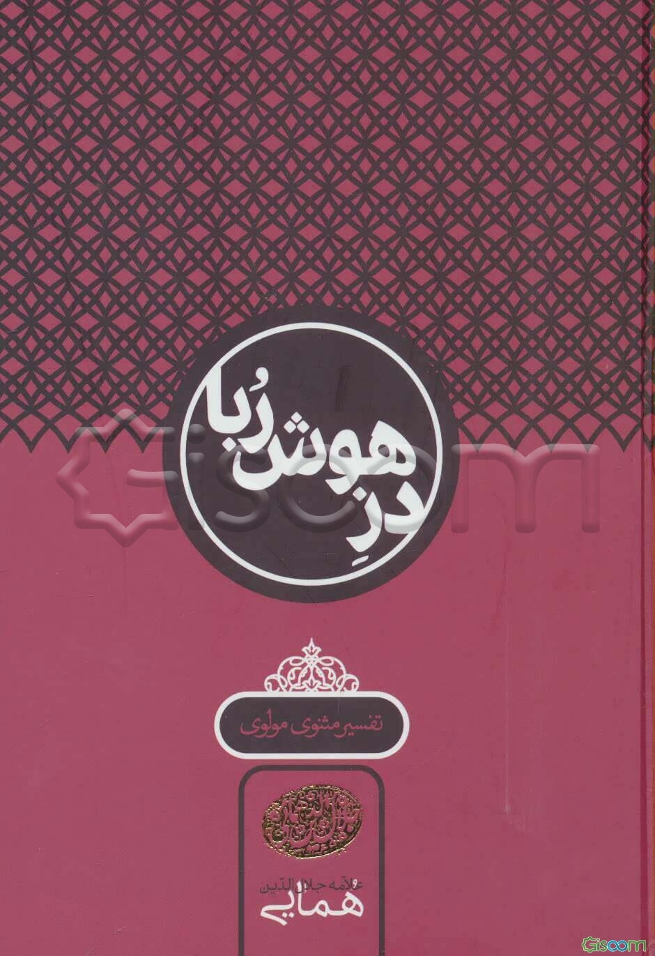 دز هوش‌ربا: تفسیر مثنوی مولوی