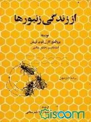 از زندگی زنبورها