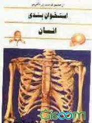 استخوان‌بندی انسان