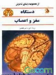 دستگاه مغز و اعصاب