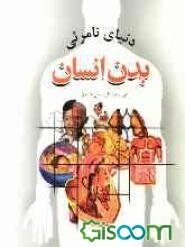 دنیای نامرئی بدن انسان