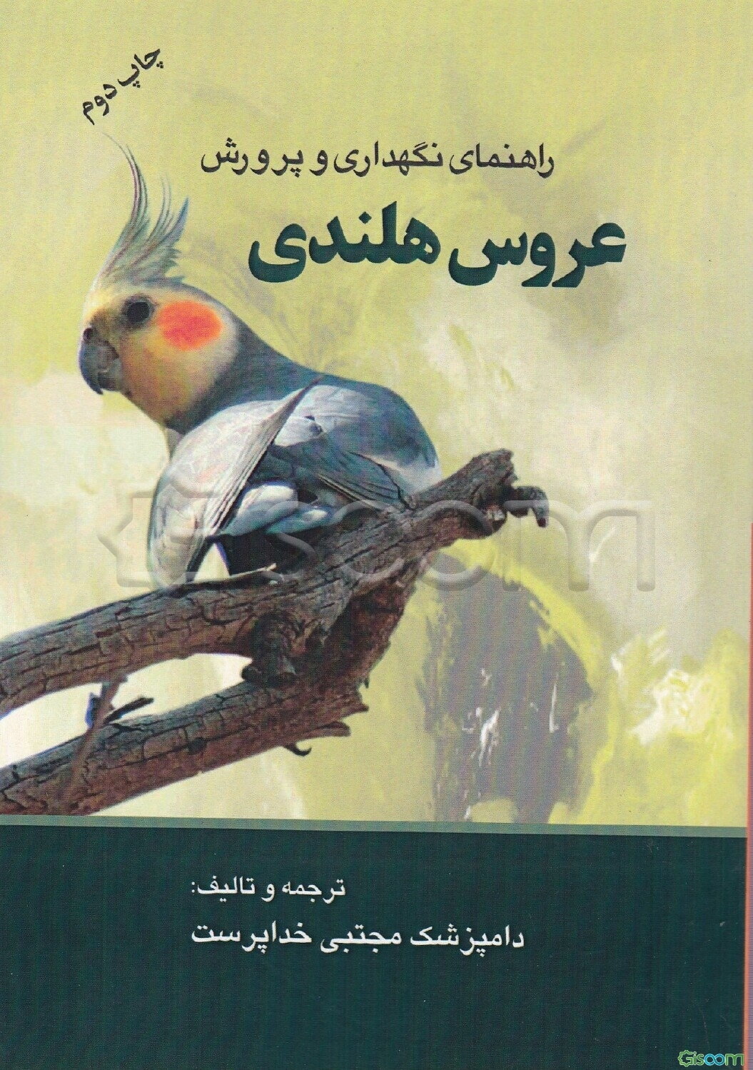 راهنمای نگهداری و پرورش عروس هلندی