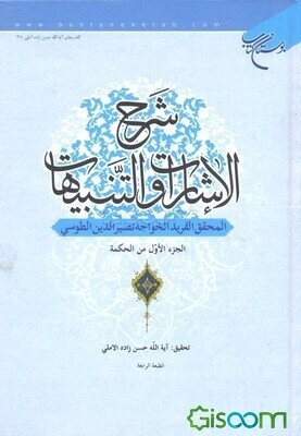 شرح الاشارات و التنبیهات: من الحکمه (جلد 1)