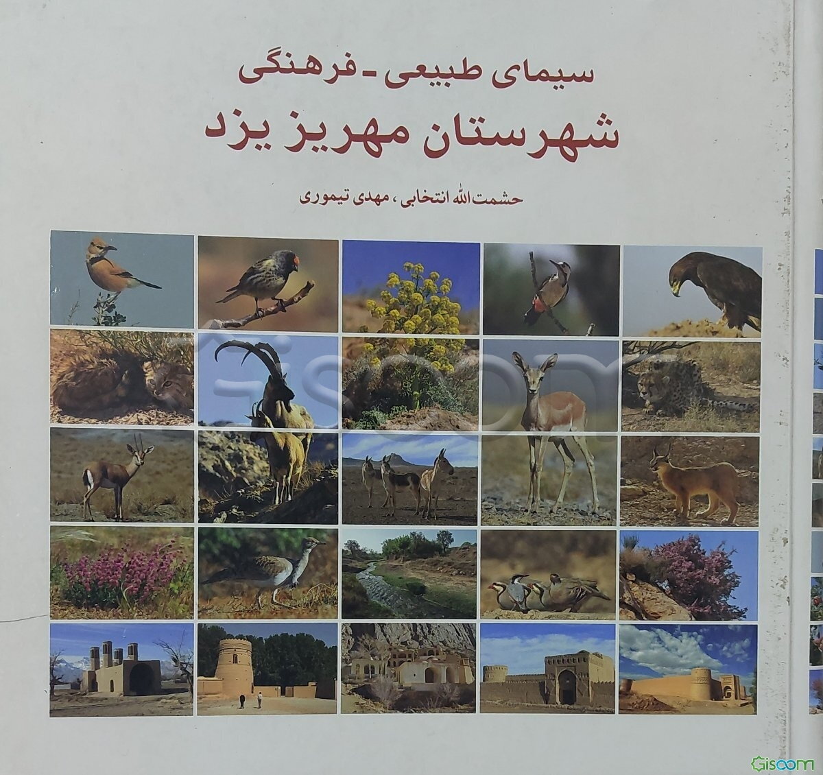 سیمای طبیعی - فرهنگی شهرستان مهریز یزد