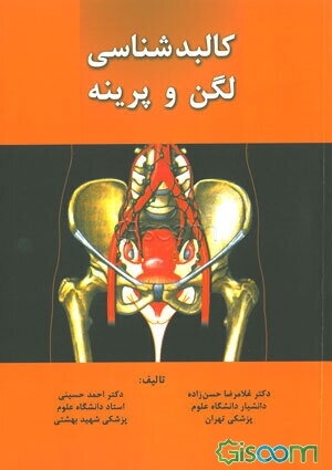 کالبدشناسی لگن و پرینه