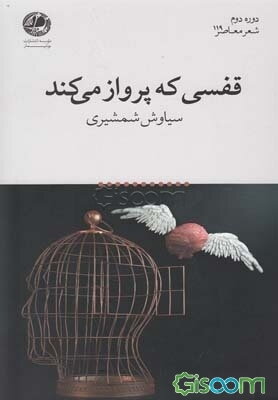 قفسی که پرواز می‌کند