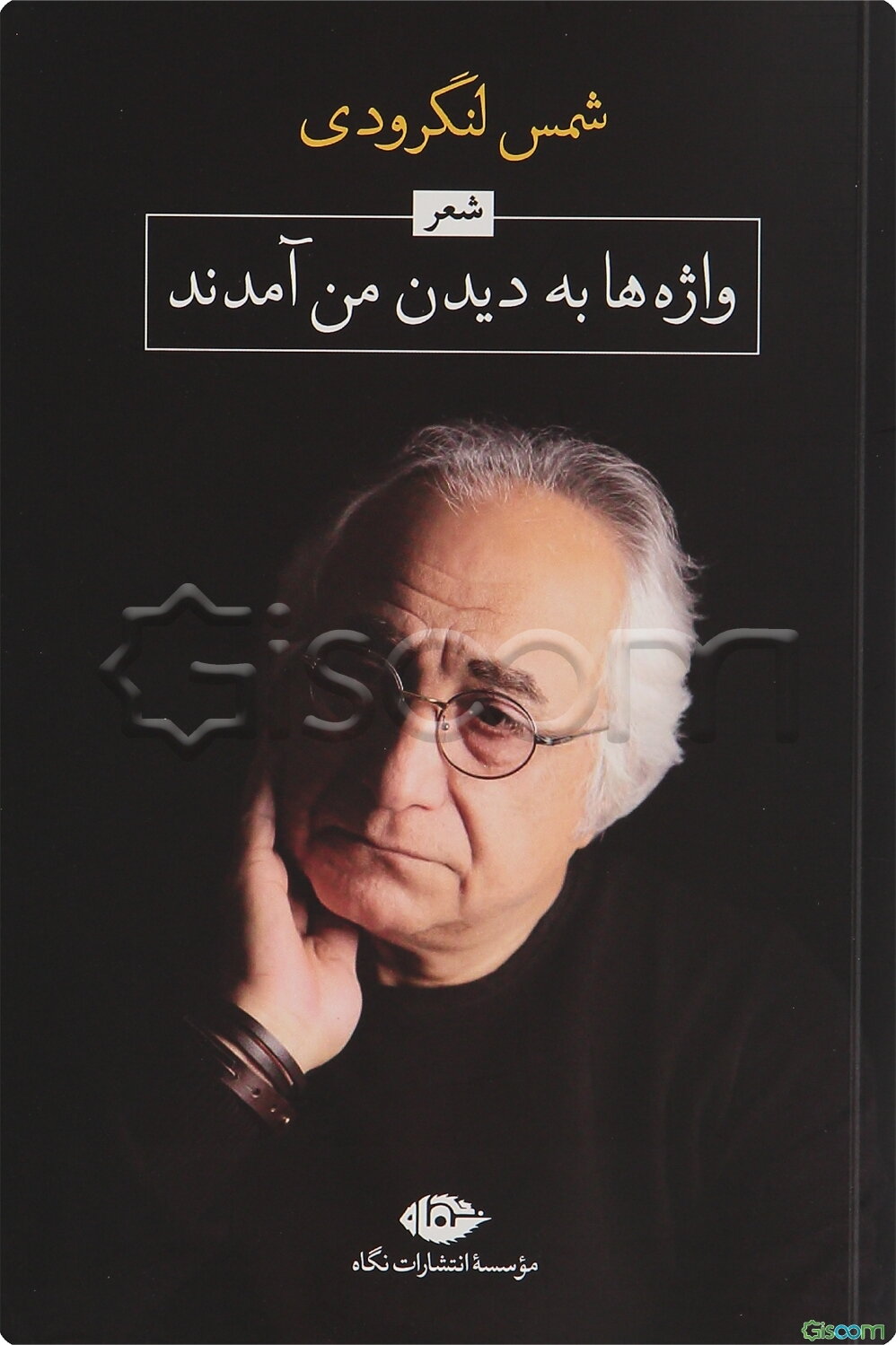 واژه‌ها به دیدن من آمدند