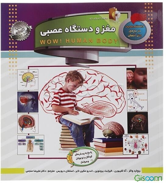 مغز و دستگاه عصبی