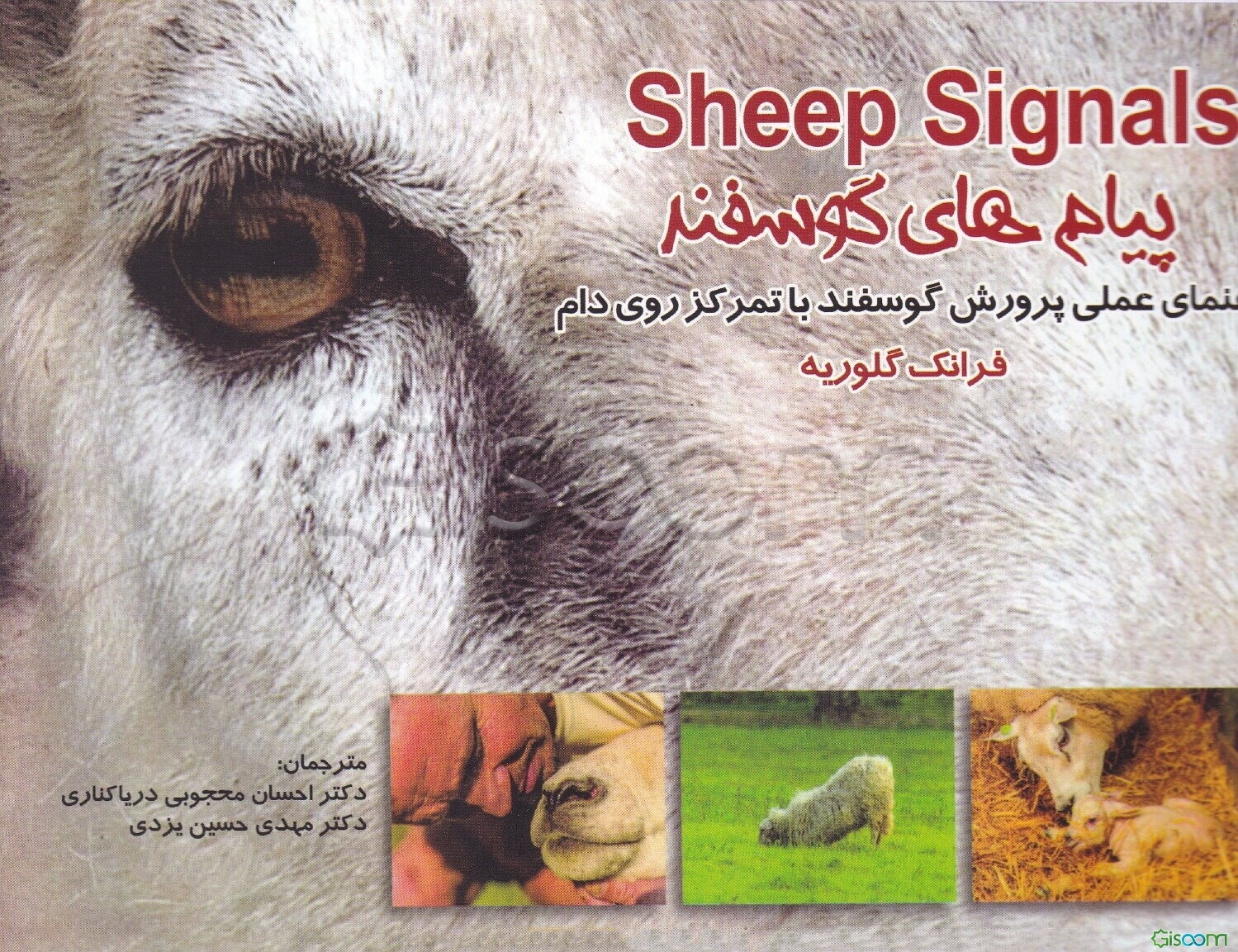 پیام‌های گوسفند = Sheep Signals: راهنمای عملی پرورش گوسفند با تمرکز روی دام