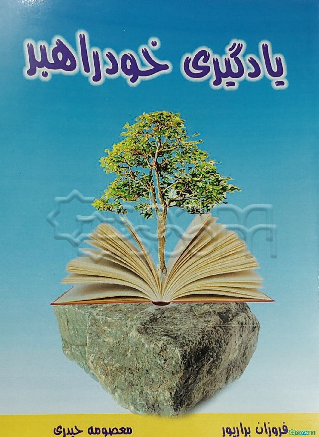 یادگیری خودراهبر