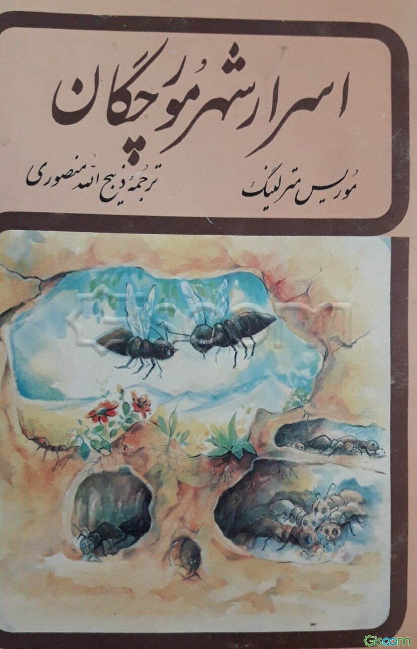 اسرار شهر مورچگان