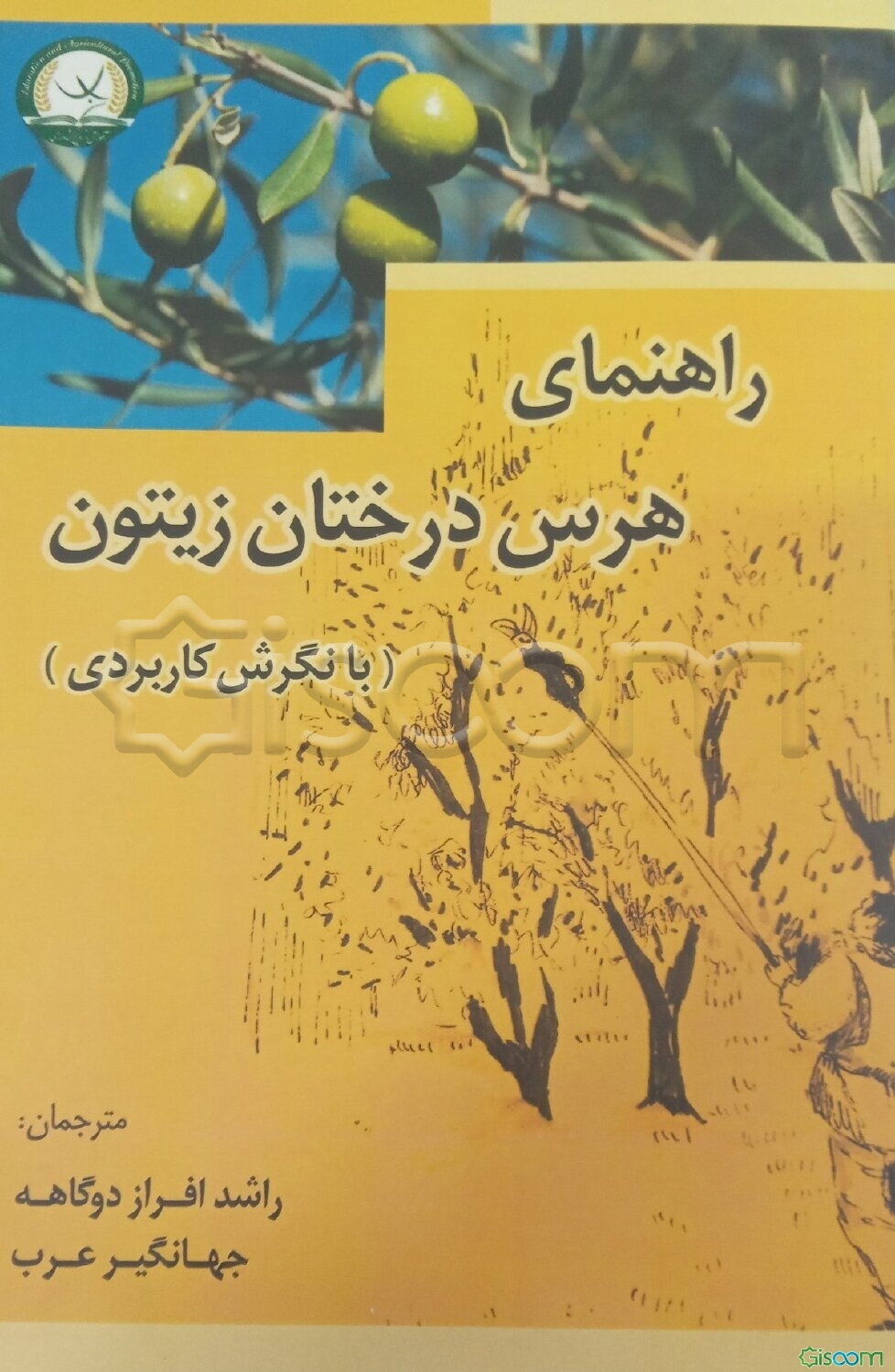 راهنمای هرس درختان زیتون (با نگرش کاربردی)