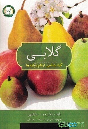 گلابی: گیاه‌شناسی، ارقام و پایه‌ها